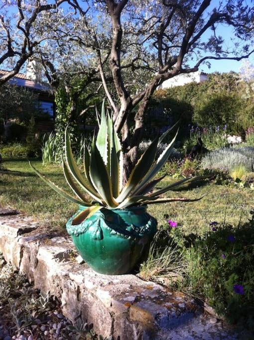 Les Merles : Joli Dans La Campagne Aixoise. * Venelles