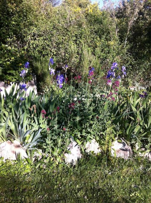 Les Merles : Joli Dans La Campagne Aixoise.