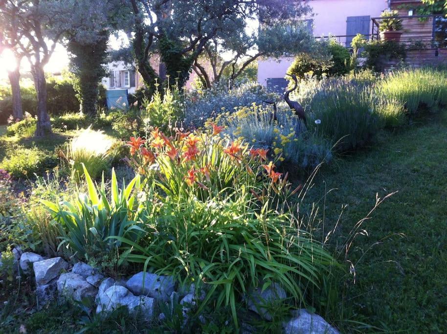 Les Merles : Joli Dans La Campagne Aixoise. * Venelles